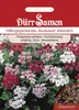 Dürr-Samen - Hängegeranien Mischung F1 einjährig 25 cm - Produktbild-Vorschau 4