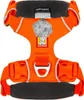 Pettorina per cani Ruffwear Front Range Harness, Anteprima dell’immagine prodotto 2
