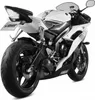 Marmitta Slip-on MIVV Mk3 omologata in carbonio per YAMAHA Anteprima dell’immagine prodotto 3