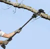 Akumulatorowa elektryczna pilarka łańcuchowa 2 w 1 do Podgląd zdjęcia produktu 4