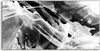 Coloray Acrylbild 120x60  Wandbild Acrylbilder Schwarz Weiß Produktbild-Vorschau 1