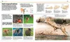 Wissen. Tiere Produktbild-Vorschau 9