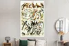 MuchoWow® Poster Vogel - Tiere - Natur 120x180 cm - Produktbild-Vorschau 4