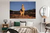 MuchoWow® Poster Känguru - Tier - Sonne - Natur 180x120 cm Produktbild-Vorschau 5