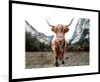 MuchoWow® Gerahmtes Poster Schottischer Highlander - Berg - Produktbild-Vorschau 1