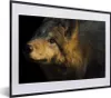 MuchoWow® Gerahmtes Poster Wolf - Gold - Sonne 40x30 cm - Produktbild-Vorschau 1