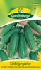 Quedlinburger Saatgut - Einlegegurken Restina - Samen - Produktbild-Vorschau 3