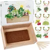 Samen Anzuchtset mit Holzbox und 8 Pflanzenarten Samen Produktbild-Vorschau 6
