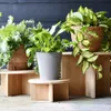 Esschert Design Bamboe Plantentafeltje 25x11 cm Náhled obrázku produktu 5