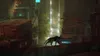 A cat wearing a backpack walks through a dark, futuristic city. Produktbild-Vorschau