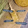 A wooden scoop filled with barley grains is placed on a burlap cloth, with a bunch of grass on the left and a wooden bowl of barley grains in the upper right corner. Text labels point to different aspects of the barley. Produktbild-Vorschau