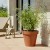 XXL Pflanzkübel terracotta Ø48 cm - Kunststoff Blumen Kübel Produktbild-Vorschau 5