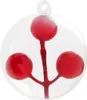 A clear, studio shot of a transparent Christmas ornament containing a red berry sprig. Podgląd zdjęcia produktu