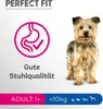 A marketing image for dog food, showing a small dog and graphics related to digestive health. Produktbild-Vorschau
