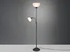 A dark-colored floor lamp with two lights against a gray background. Náhled obrázku produktu