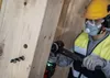 Mèche à bois à spirale PRO Wood Bosch 18 x 170 x 235 mm - Voir les images du produit 9