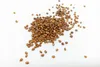 A pile of seeds on a white background. Náhľad obrázku produktu