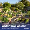 Gartenstecker Schieferschild 12er Set 10x40x4,5cm Edelstahl Produktbild-Vorschau 3