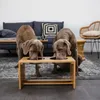 lionto Hundefutterstation, stilvolle Bambus-Futterbar mit Produktbild-Vorschau 2