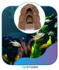 Aquarium Deko Kokosnuss-Höhle Set 3 Stück, nieszczotkierte Produktbild-Vorschau 9