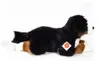 Teddy Hermann TH-919407, Spielzeug-Hund, 1,5 Jahr(e) Produktbild-Vorschau 7