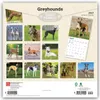 Greyhounds - Windhunde 2027 - 16-Monatskalender Produktbild-Vorschau 2