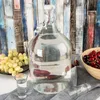 Bottiglia con clip, brocca di vetro, 5 l Anteprima dell’immagine prodotto 2