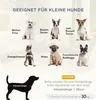 A collage of different small dog breeds with text overlays indicating suitability and size recommendations. Produktbild-Vorschau