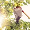 Raccoglitore di frutta KADAX per la raccolta di mele, Anteprima dell’immagine prodotto 7
