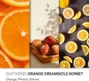 Orange Dreamsicle Sorbet Duftkerze Candle Brothers, Kerze Produktbild-Vorschau 4