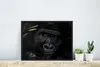 MuchoWow® MuchoWow® Gerahmtes Poster Affe - Tiere - Blätter Produktbild-Vorschau 5