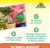 Neudorff  - Azet Zitrus- & MediterranpflanzenDünger 250 ml Produktbild-Vorschau 5