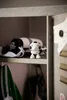 A small figurine resembling a football is placed on a shelf in a locker or storage unit. Produktbild-Vorschau