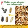 Kellerasselnfalle mit Pheromon Lockstoff -5x Fallen- Mittel Produktbild-Vorschau 2