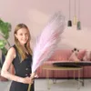 LAYBA Künstliches Pampasgras 3er-Set Rosa 100 cm, 18 Produktbild-Vorschau 4