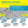 GLORIA Unkrautbrenner Thermoflamm Professional E+ Turbo Set Produktbild-Vorschau 6