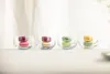 Eisch 4 Dessertschalen 310/10 in Geschenkröhre DESSERT Produktbild-Vorschau 3