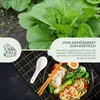 Chinesischer Senfkohl Samen (Pak Choi, 150 Korn) - Pak Choi Produktbild-Vorschau 3