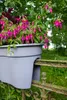KHW Geländerblumenkasten Flowerclip XL aus hochwertigem Produktbild-Vorschau 5