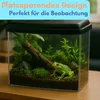 Nano Aquarium Set Mini Terrarium Garnelen Aquarium Klein Produktbild-Vorschau 4