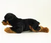 Kuscheltier Rottweiler 45 cm liegend Hund Produktbild-Vorschau 2
