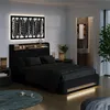 Polsterbett Vitalispa Christin Anthrazit/Eiche 140x200 mit Produktbild-Vorschau 3