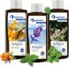 Spitzner Saunaaufguss Set Klar & Frisch 3x 190 ml Sanddorn, Produktbild-Vorschau 1