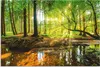 ARTland Wandbild Alu für Innen & Outdoor Wald mit Bach Produktbild-Vorschau 1