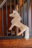 Kentucky Horsewear Relax Horse Toy , Farbe:SAMMY Produktbild-Vorschau 2