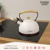 Briebe Nordic Wasserkessel Induktion Flötenkessel 2,3L Produktbild-Vorschau 3