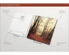 Glasbild Mystic Forest I GLA2022 20x20 cm Produktbild-Vorschau 3