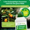Purgrün -Kumquat-Dünger 1 Liter, Produktbild-Vorschau 4