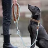 Handgeflochtenes Hundehalsband aus Echtleder - Premium Produktbild-Vorschau 9