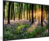 MuchoWow® Gerahmtes Poster Wald - Blumen - Lavendel - Sonne Produktbild-Vorschau 1